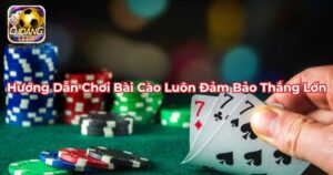 Bài Cào